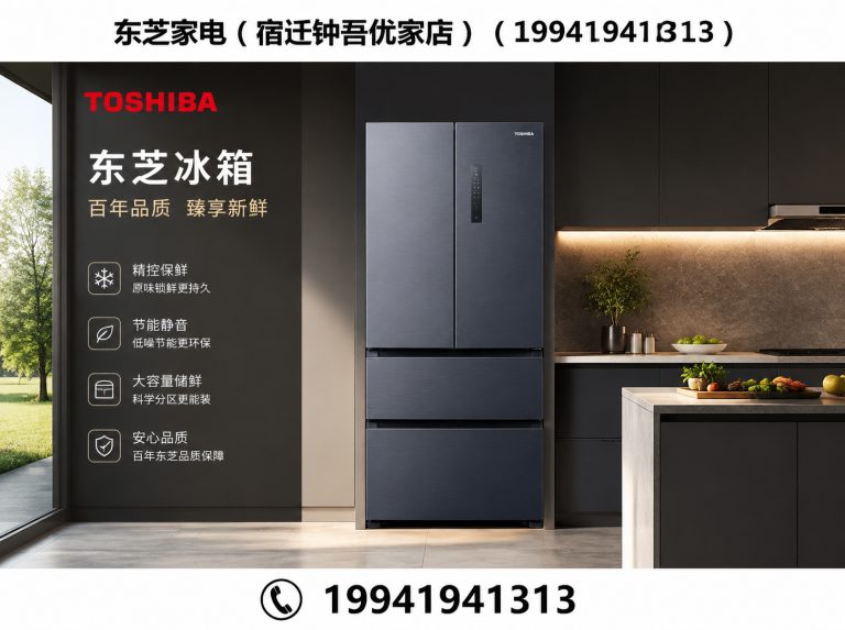 江苏宿迁东芝星级生活馆展示图
